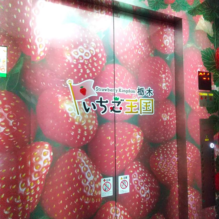 09_イチゴエレベーター.JPG