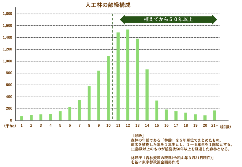 グラフ:人工林の齢級構成