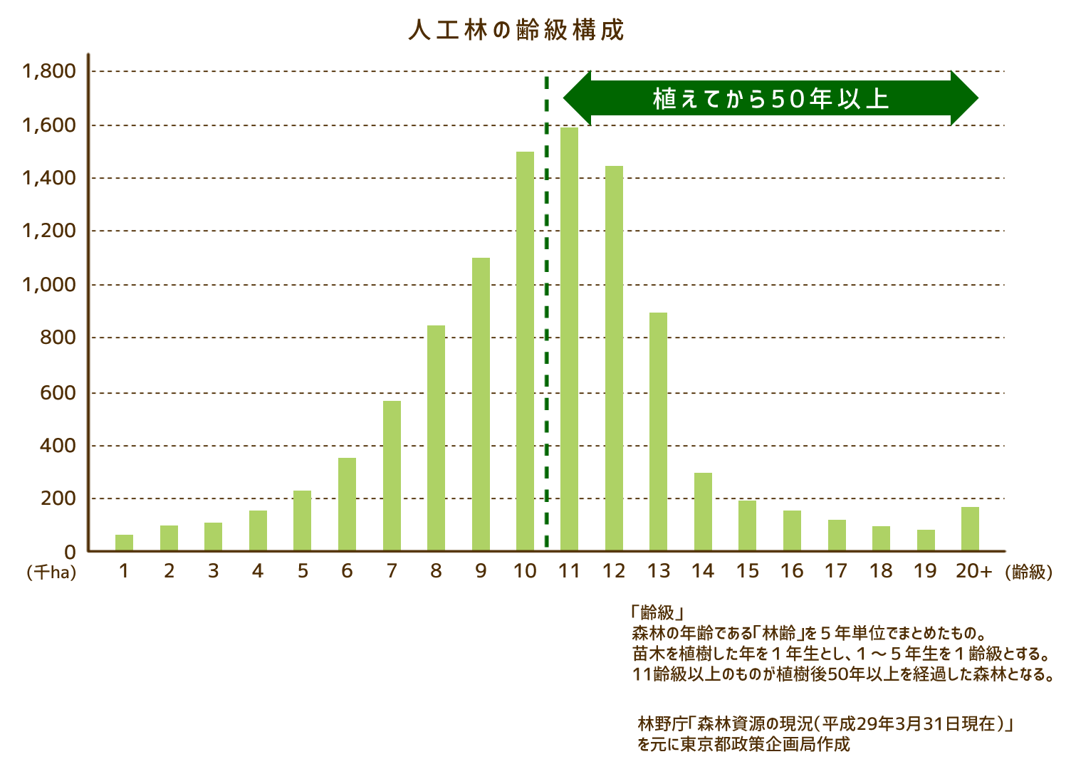 グラフ:人工林の齢級構成