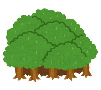 photo_mokuzai_morinoe.png