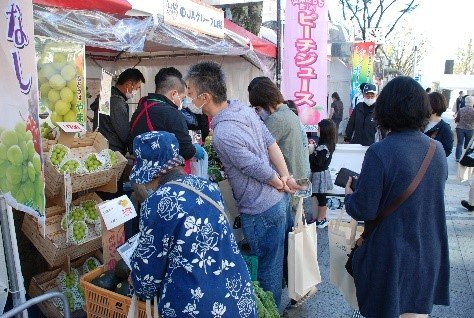 photo_yamanashi_fuji_4.jpg